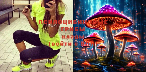 шишки Волоколамск