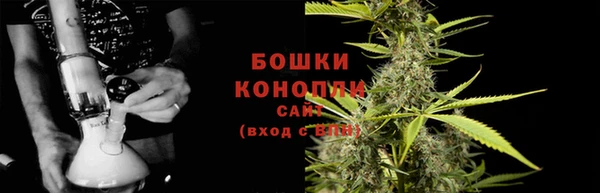 шишки Волоколамск