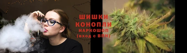шишки Волоколамск