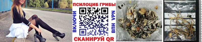 Галлюциногенные грибы мицелий  Елец 